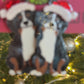 Santa Bernese Mountain Dog Earrings